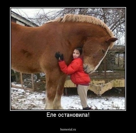 Еле остановила!