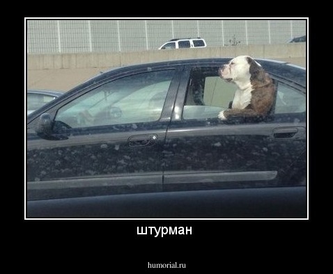 штурман 