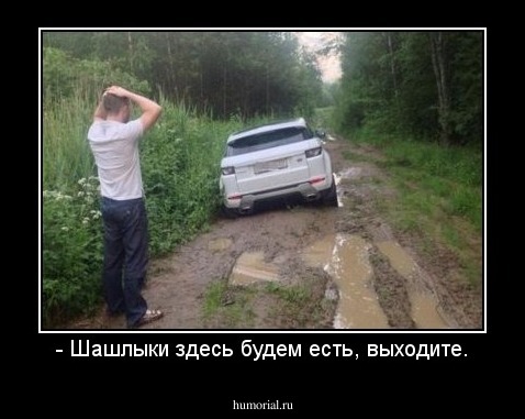 - Шашлыки здесь будем есть, выходите.