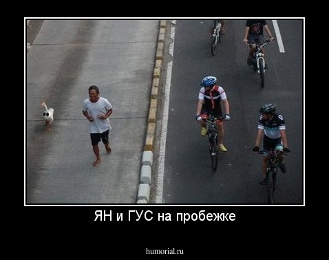 ЯН и ГУС на пробежке