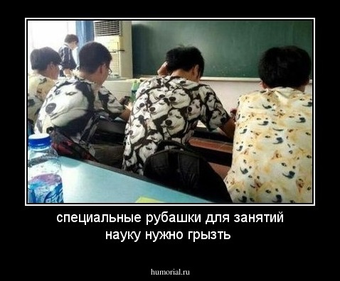 специальные рубашки для занятий науку нужно грызть 