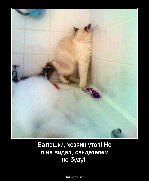 Батюшки, хозяин утоп! Но я не видел, свидетелем не буду!