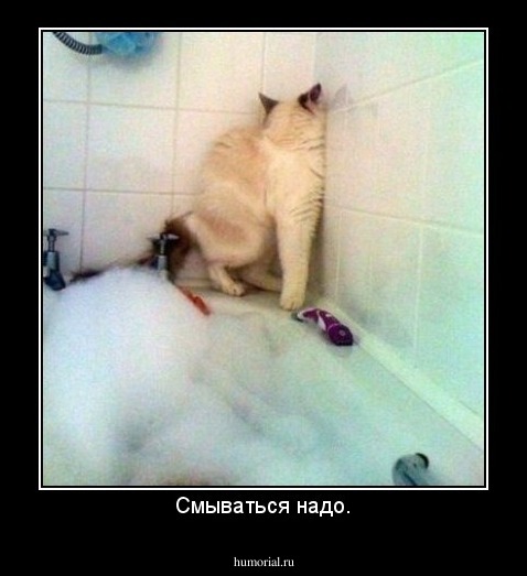 Смываться надо.