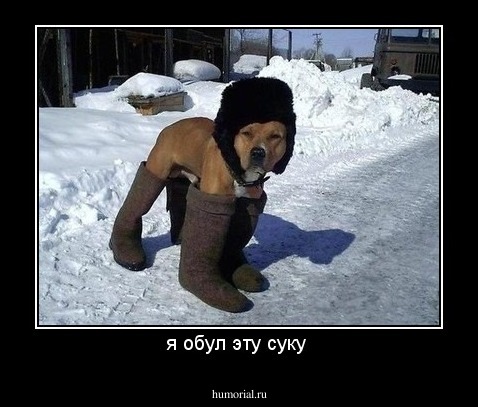 я обул эту суку 