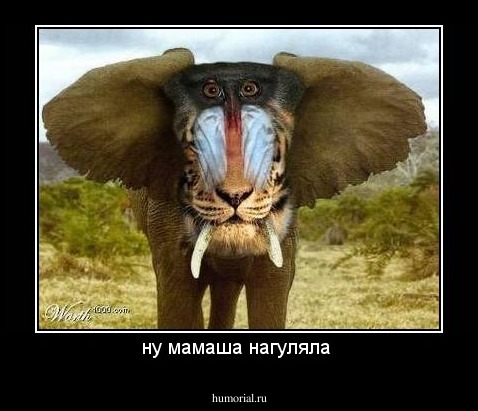 ну мамаша нагуляла 