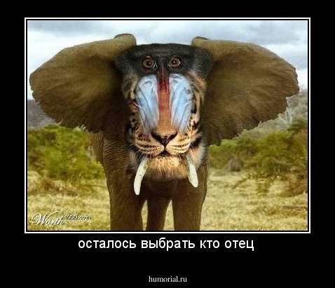 осталось выбрать кто отец 