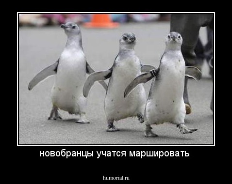 новобранцы учатся маршировать 