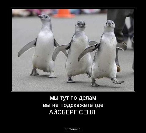мы тут по делам  вы не подскажете где АЙСБЕРГ СЕНЯ