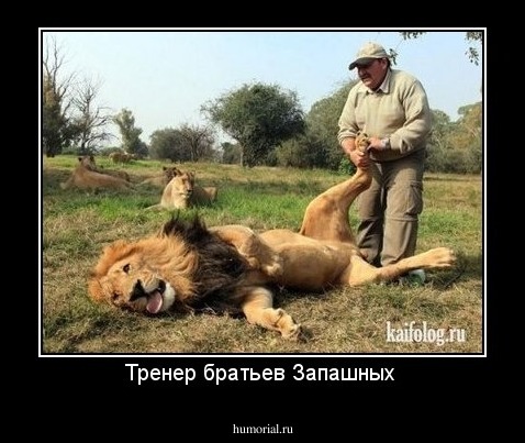Тренер братьев Запашных 