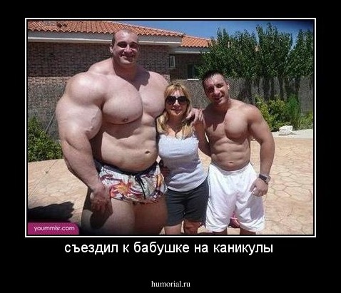 съездил к бабушке на каникулы 