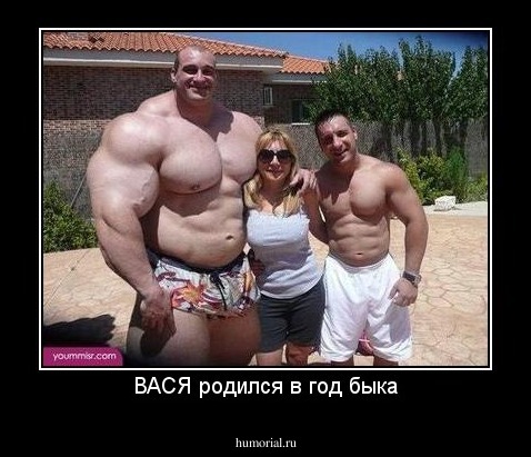 ВАСЯ родился в год быка