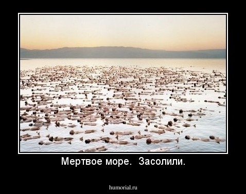 Мертвое море.  Засолили.