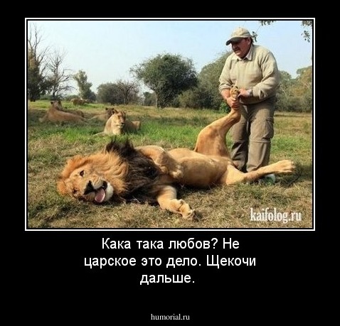Кака така любов? Не царское это дело.  Щекочи дальше.
