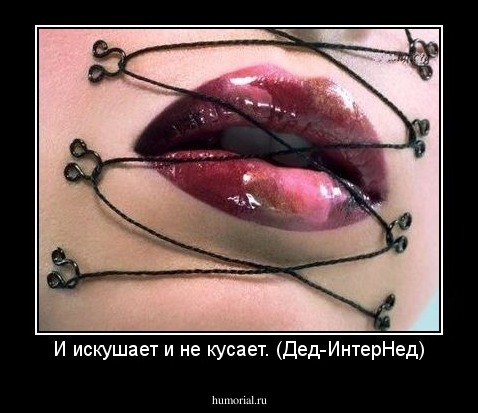 И искушает и не кусает. (Дед-ИнтерНед)