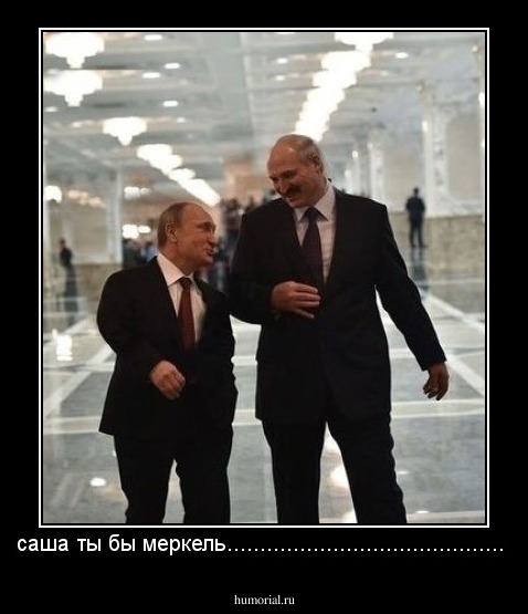 саша ты бы меркель..........................................
