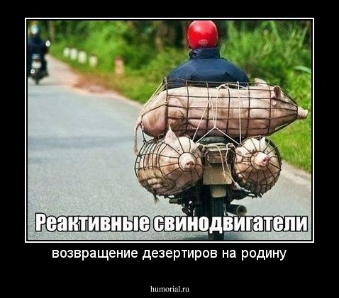 возвращение дезертиров на родину
