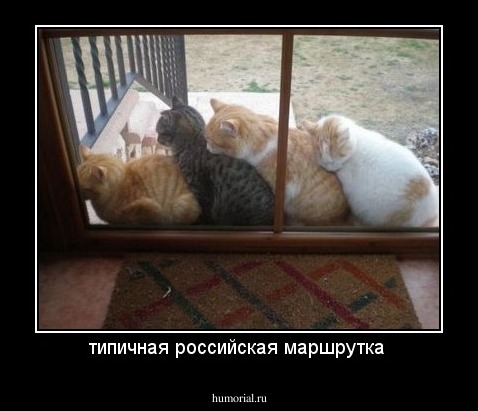типичная российская маршрутка 