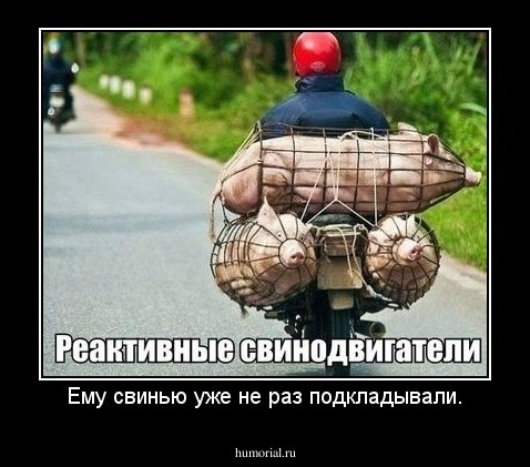 Ему свинью уже не раз подкладывали.