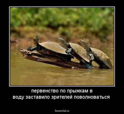 первенство по прыжкам в воду заставило зрителей поволноваться