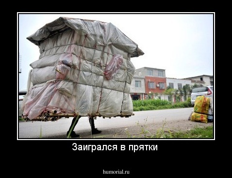 Заигрался в прятки 