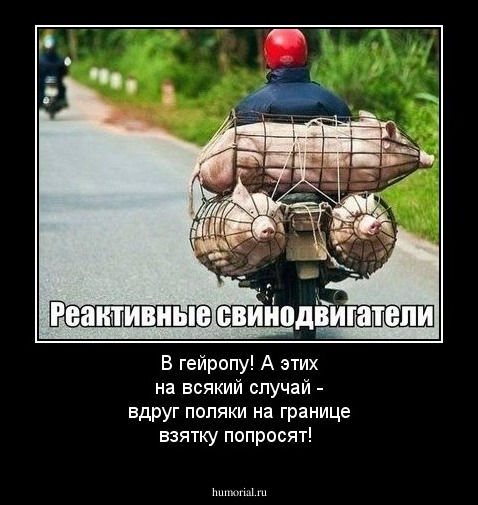В гейропу! А этих на всякий случай - вдруг поляки на границе взятку попросят!