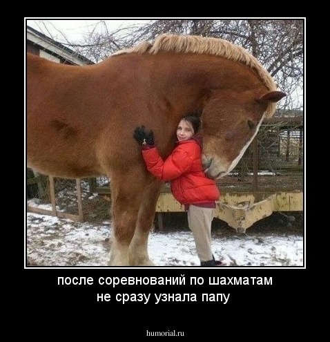 после соревнований по шахматам не сразу узнала папу