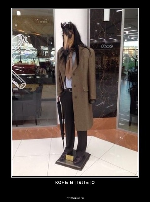 конь в пальто
