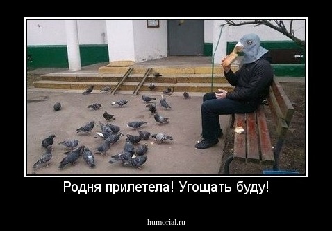 Родня прилетела! Угощать буду!