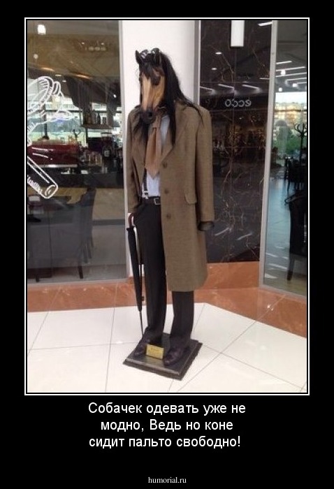 Собачек одевать уже не модно, Ведь но коне сидит пальто свободно!