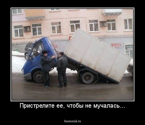 Пристрелите ее, чтобы не мучалась...