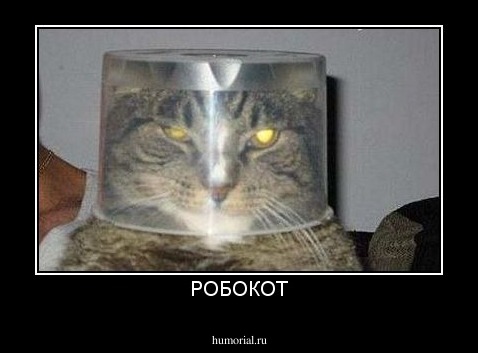 РОБОКОТ