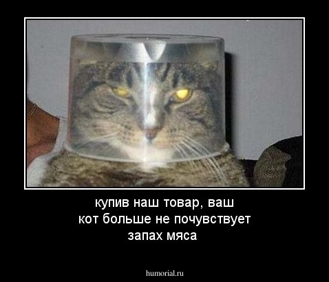 купив наш товар, ваш кот больше не почувствует запах мяса