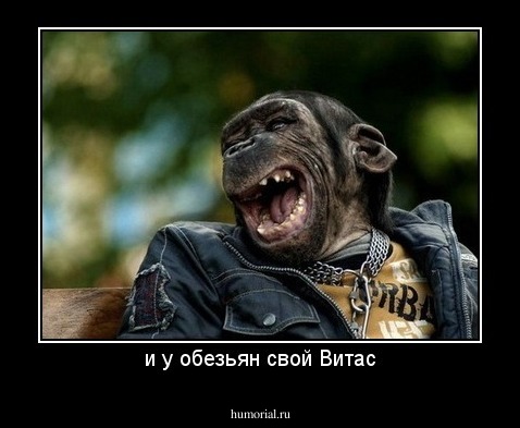 и у обезьян свой Витас