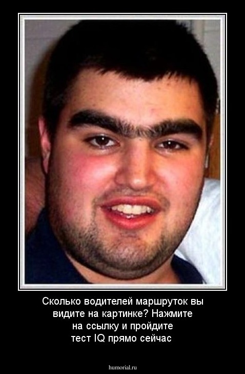 Сколько водителей маршруток вы видите на картинке? Нажмите на ссылку и пройдите тест IQ прямо сейчас