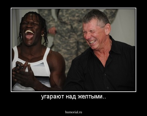угарают над желтыми..