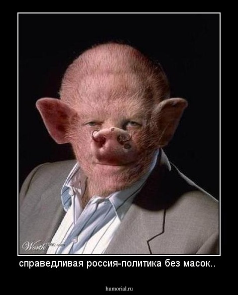 справедливая россия-политика без масок..