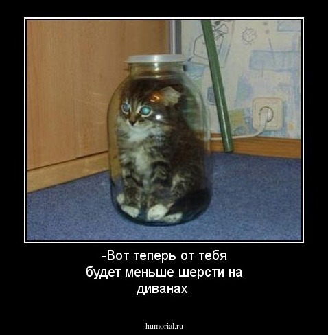 -Вот теперь от тебя будет меньше шерсти на диванах
