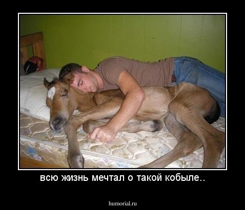 всю жизнь мечтал о такой кобыле..