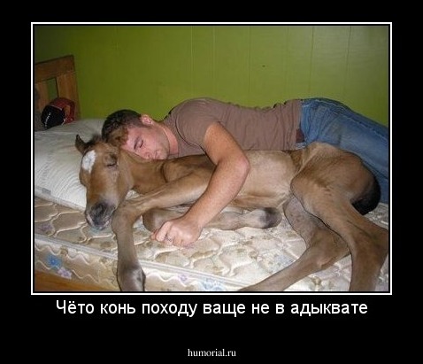 Чёто конь походу ваще не в адыквате