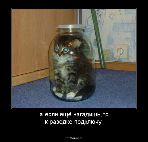 а если ещё нагадишь,то к разедке подключу