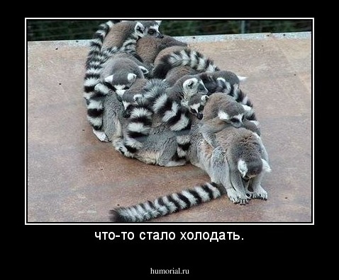 что-то стало холодать.