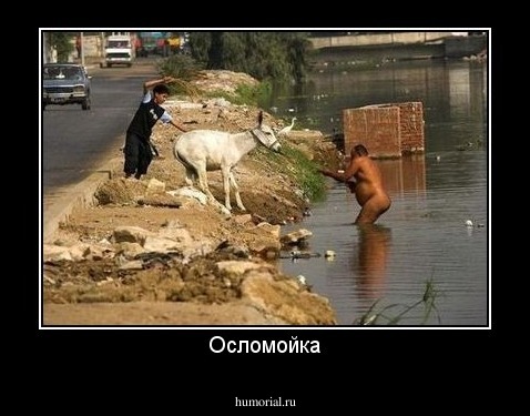 Осломойка