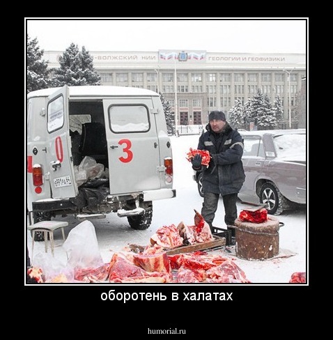 оборотень в халатах