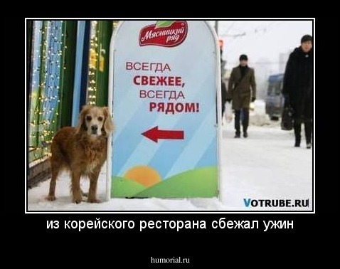из корейского ресторана сбежал ужин