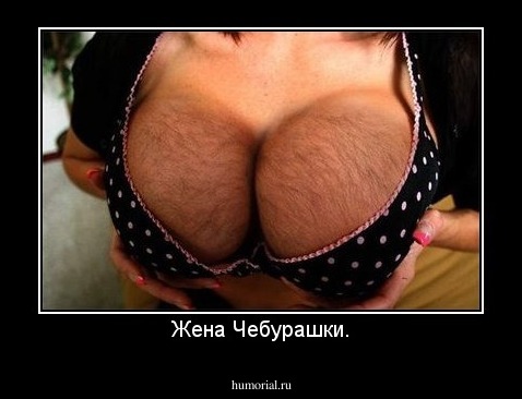 Жена Чебурашки.