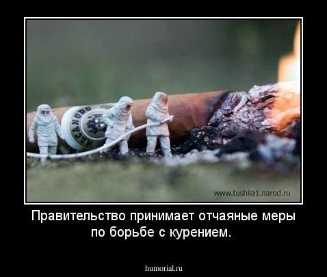 Правительство принимает отчаяные меры по борьбе с курением.