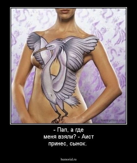 - Пап, а откуда я взялся?- Аист принес, сынок. 