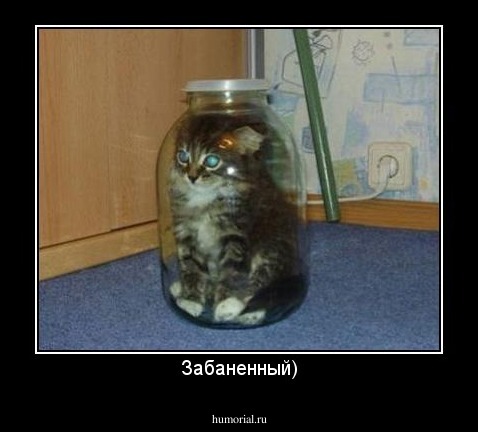 Забаненный)