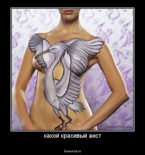 какой красивый аист