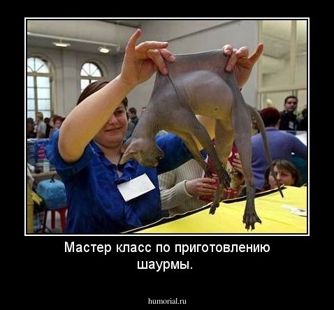 Мастер класс по приготовлению шаурмы.